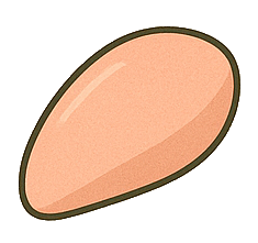 Turkey cutlets : 2