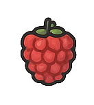 Raspberries : 400 g